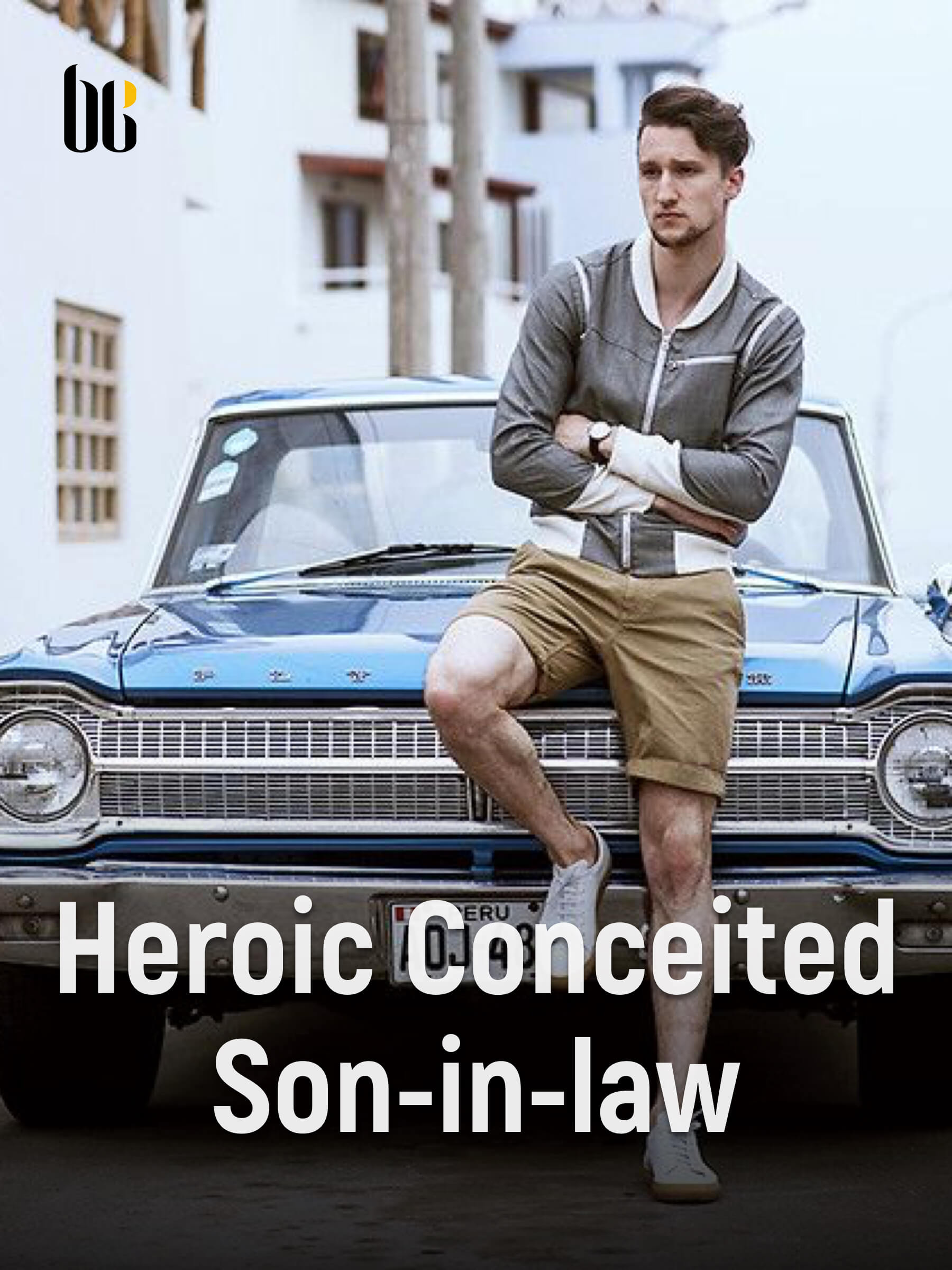 heroic-conceited-son-in-law-novel-full-story-book-babelnovel